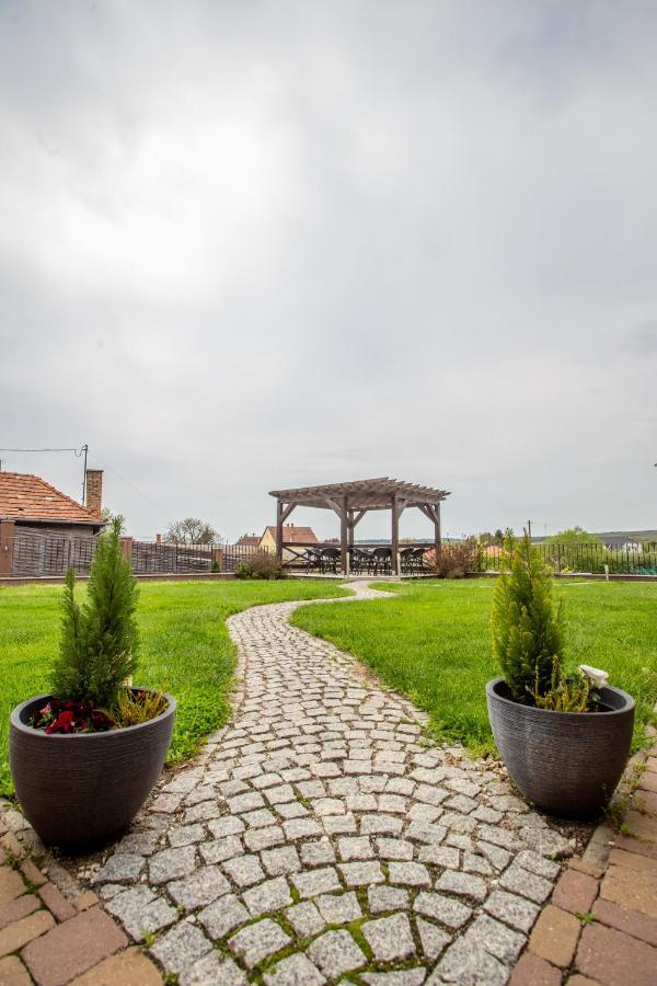 Petreny Borpanzio Bed & Breakfast Egerszalók Dış mekan fotoğraf