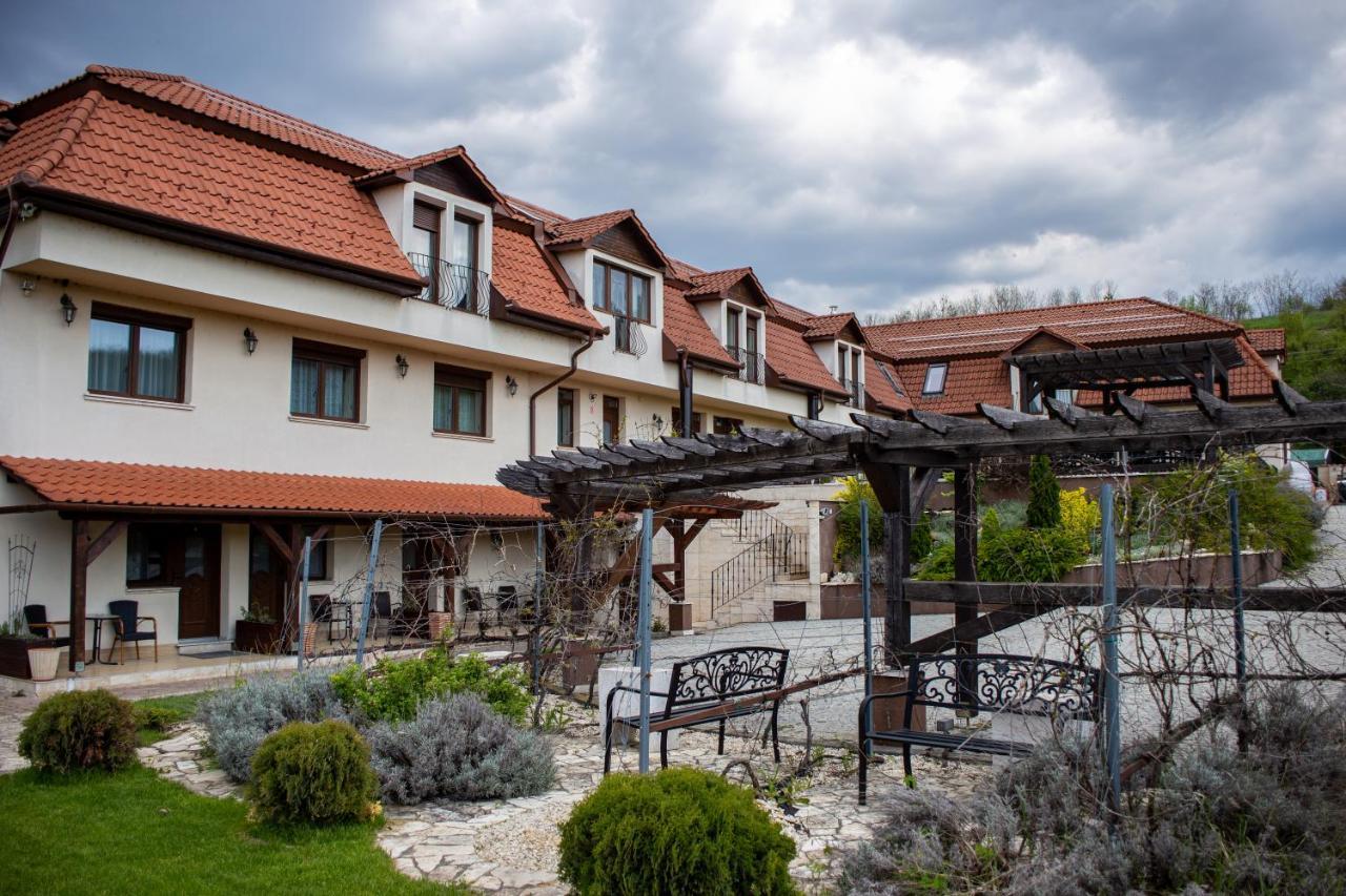 Petreny Borpanzio Bed & Breakfast Egerszalók Dış mekan fotoğraf