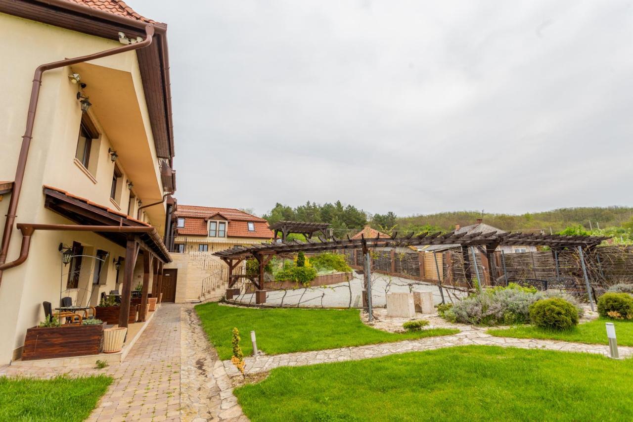Petreny Borpanzio Bed & Breakfast Egerszalók Dış mekan fotoğraf
